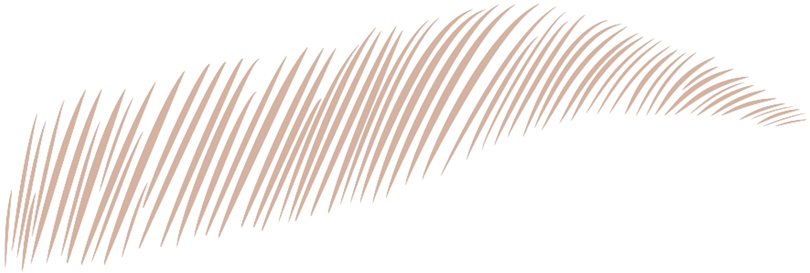       Microblading
